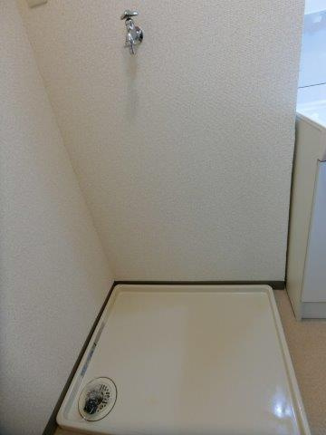 グリーンステージみたけの洗面所