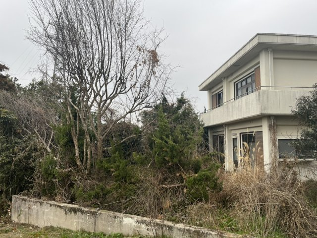 四国中央市土居町中古住宅【500】土地207.10坪　建物63.14坪の外観
