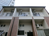 カリーノの画像