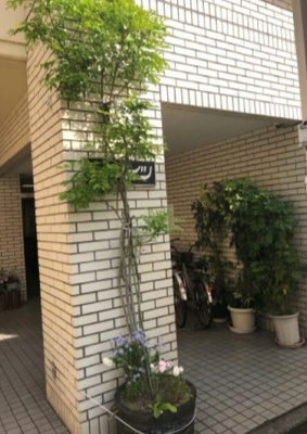 【エントランス】 | ピアハイツ