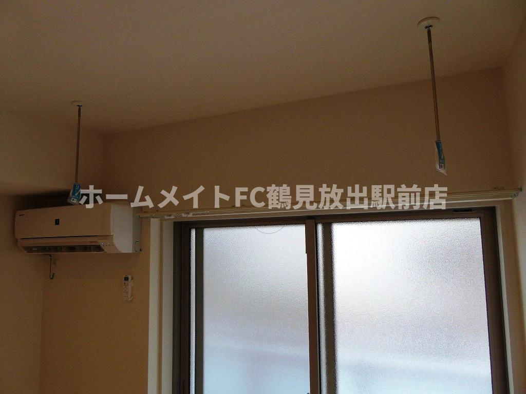 リブリ・アベリアのその他