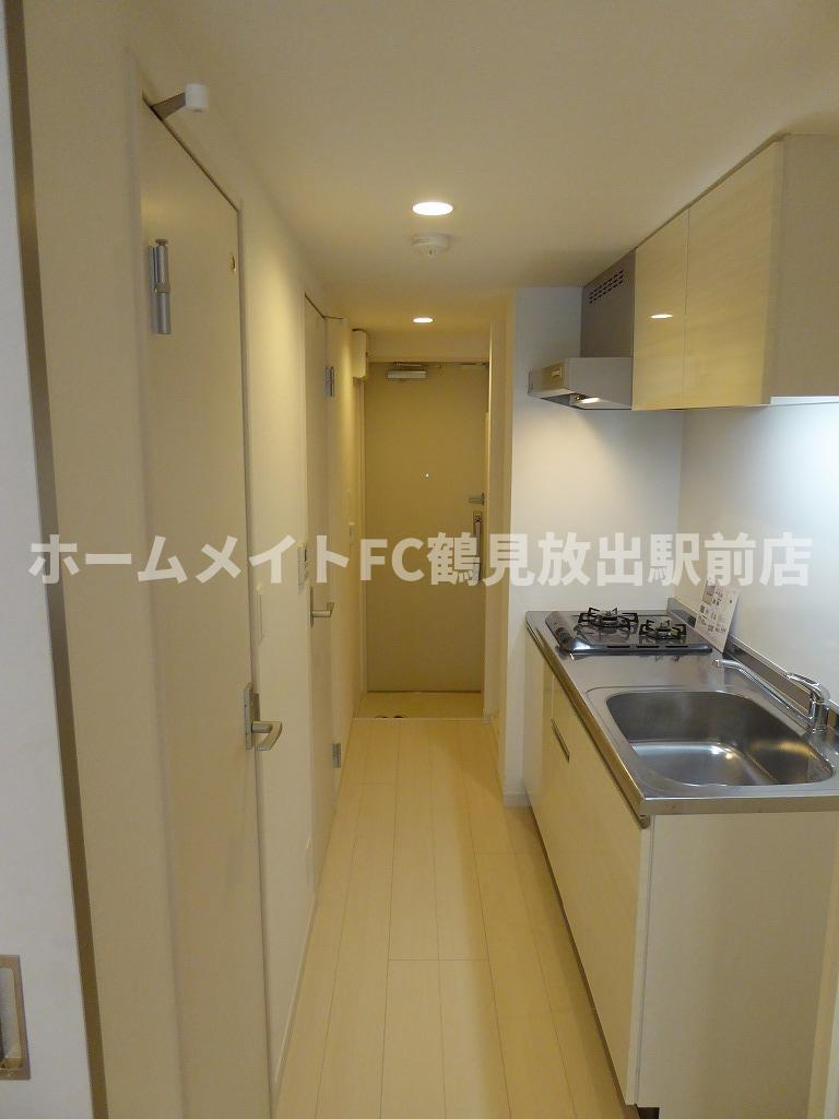 リブリ・アベリアのその他