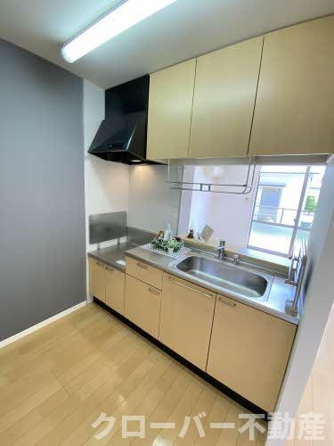 フラワーランド E棟のキッチン