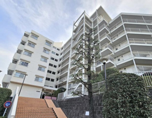 三井馬事公苑南ハイツの画像