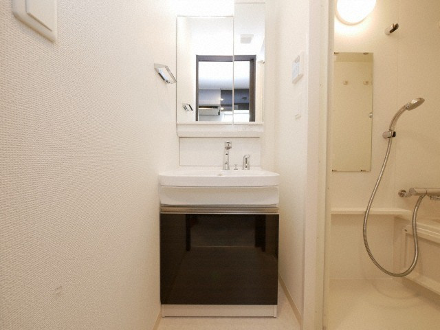 エステムコート大阪WESTⅡの洗面所