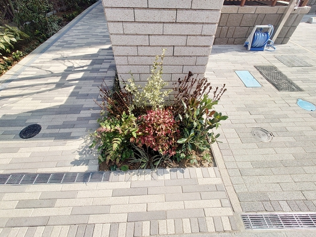 デュオヴェール赤羽のその他|緑があって癒されますね☆