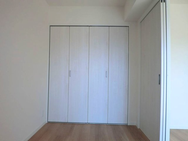 熊本市中央区神水１丁目の賃貸マンションの収納