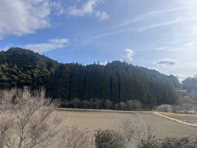 菟田野平井の展望