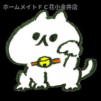 【その他】 | Ａｎｇｅ西所沢