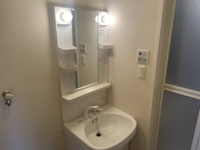 メゾン鎌倉の洗面所