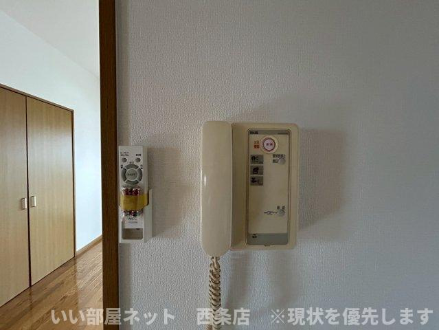 マルイカトレアのその他