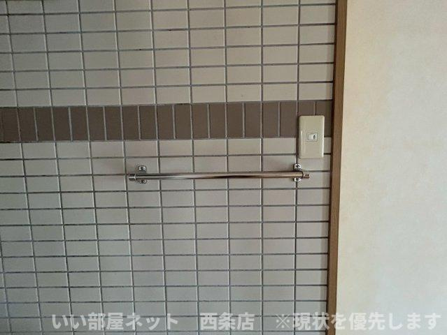 マルイカトレアの洗面所