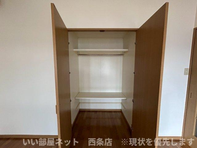 マルイカトレアの収納