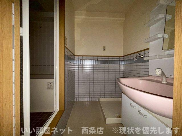 マルイカトレアの洗面所