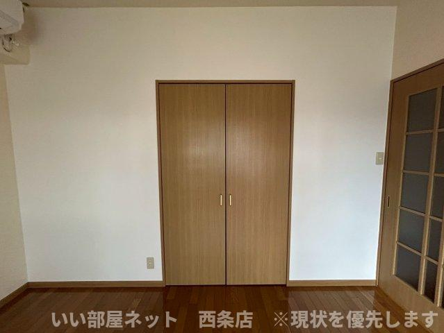 マルイカトレアの収納