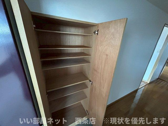 マルイカトレアの収納