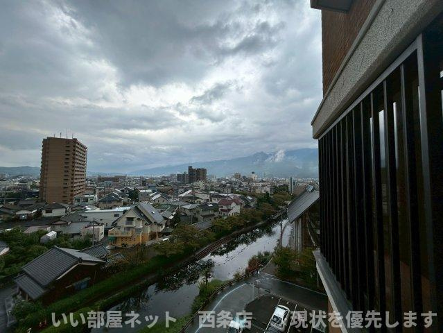 マルイカトレアの展望