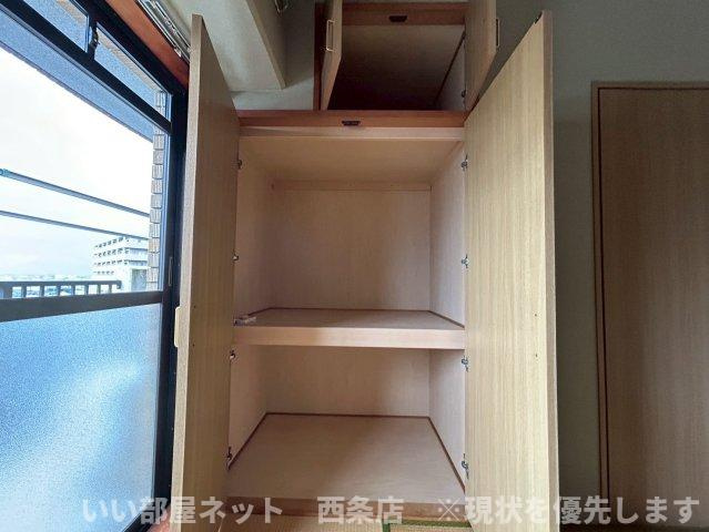 マルイカトレアの収納