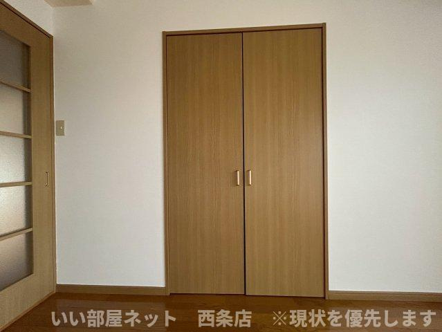 マルイカトレアの収納