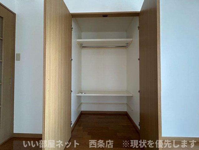 マルイカトレアの収納