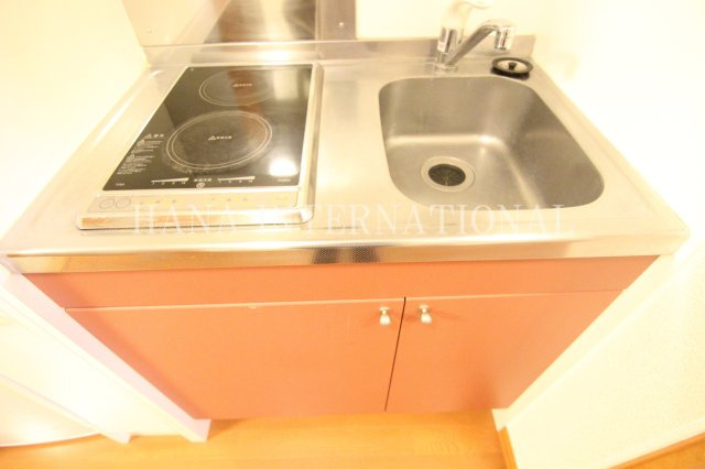 レオネクストインフィールドⅡのキッチン