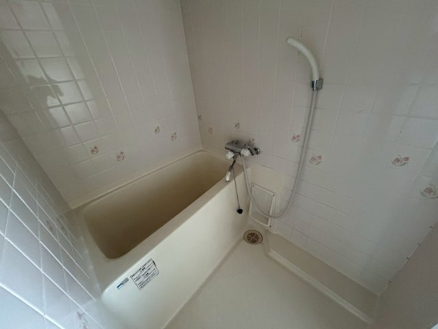 マルイブーゲンビリアの浴室