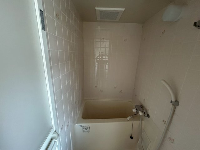 マルイブーゲンビリアの浴室