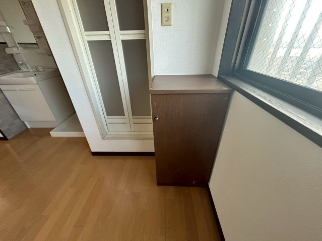 マルイブーゲンビリアのその他