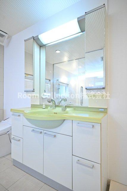 新宿7丁目戸建の独立洗面台