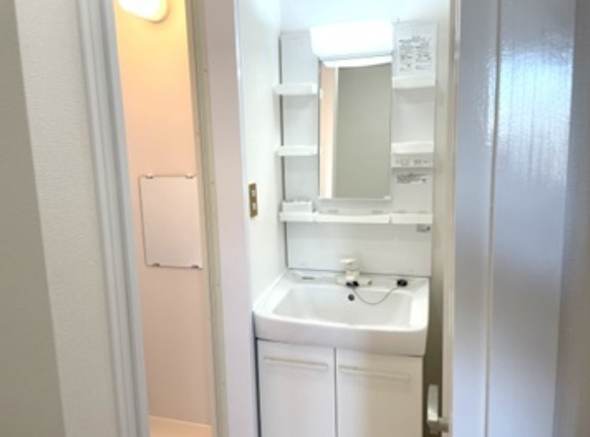 エース市川の洗面所