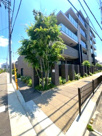 シエリア茨木東宮町の画像