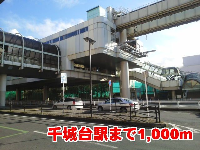 【その他】 | ロワゾーブルー　Ｄ