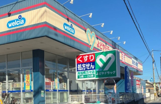 「利便性の良い立地」高知市南万々　売り土地の周辺|よどやドラッグ南万々店
