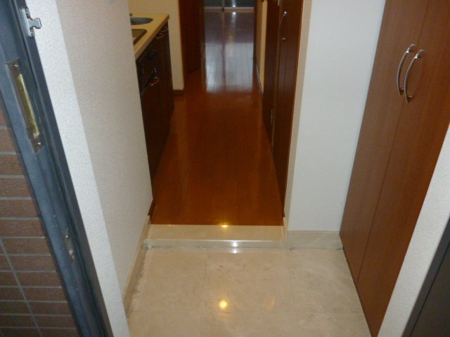 レジディア新御茶ノ水の玄関|※同タイプ別室参考写真です。