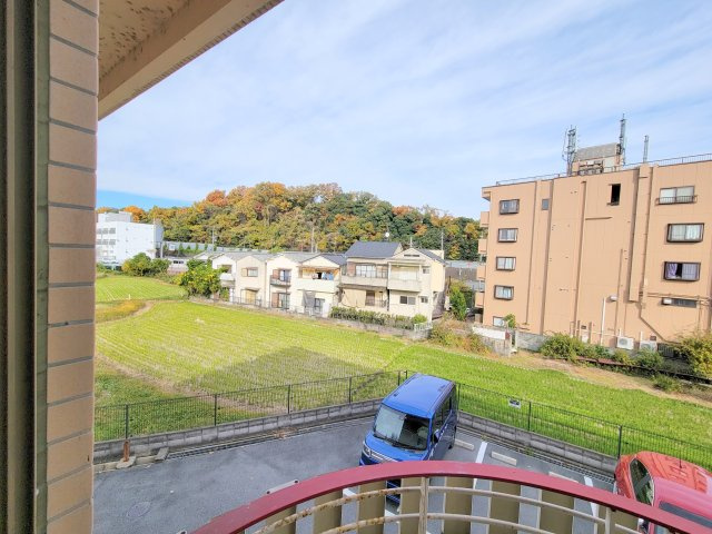 エヌエムドゥーズの展望