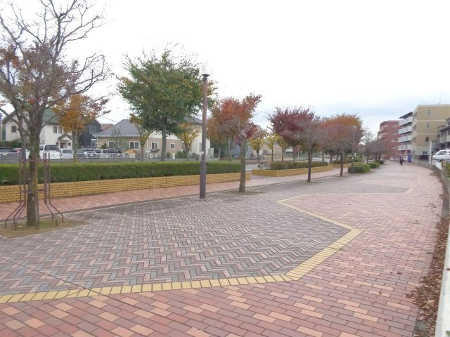 小泉ハイムのその他