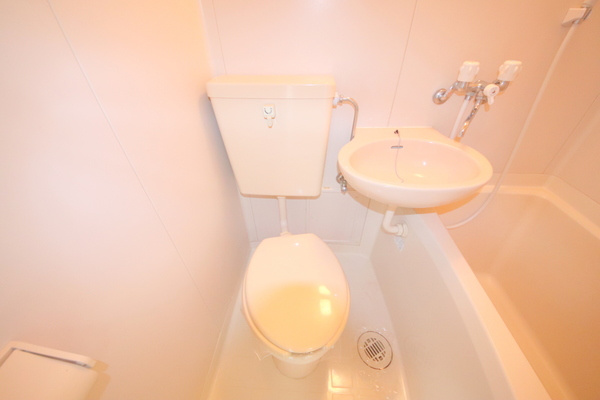 シティパレス富雄南のトイレ