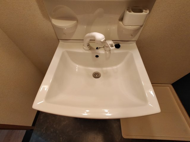 【洗面所】 | カーサフィオーレ壱番館