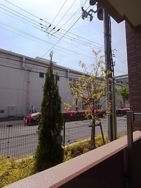 カーロ・アロッジオの展望