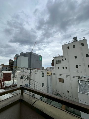 ブラウンコートの展望