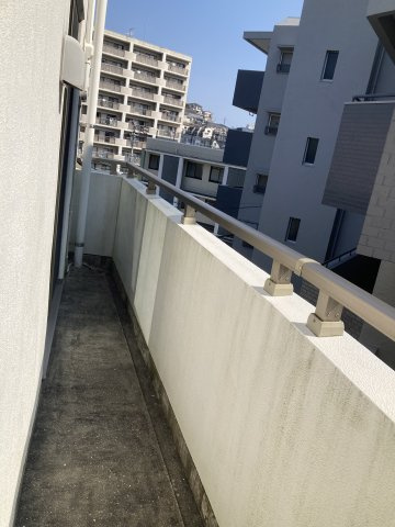 シャル夢館白鳥