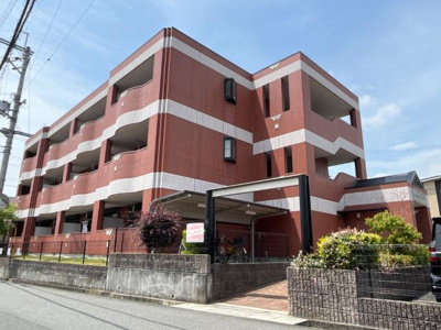 【外観】 | ルミナスハイムⅣ | 外観写真（昼）