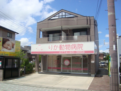 【周辺】 | ルミナスハイムⅣ | りか動物病院まで960ｍ