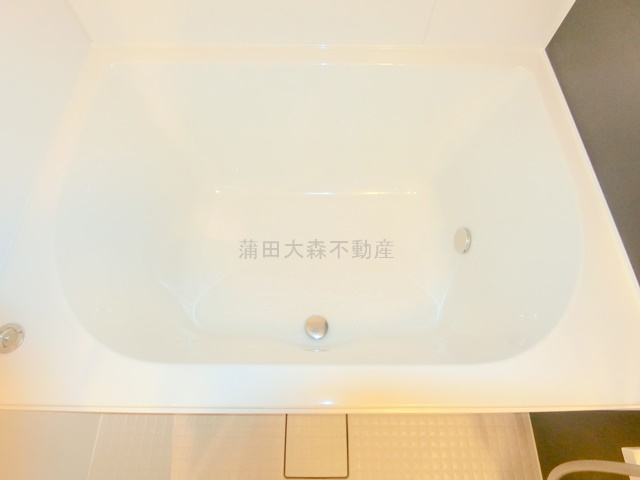 スタイリオ蒲田WESTの浴室