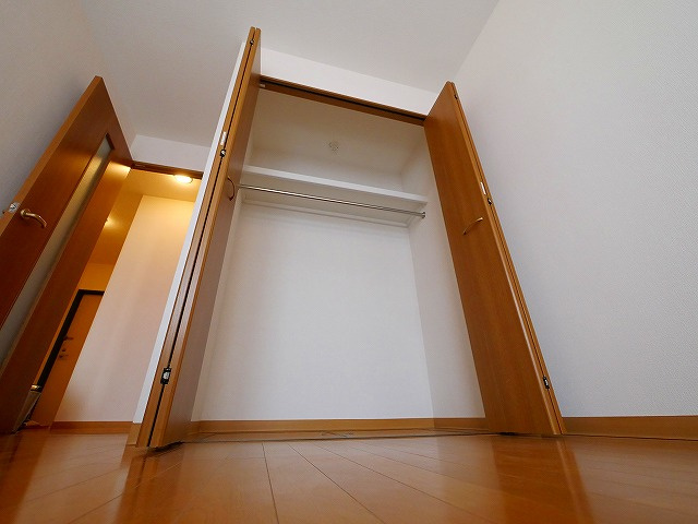 セントポーリアの収納|こまごまとしたものを収納できそうですね