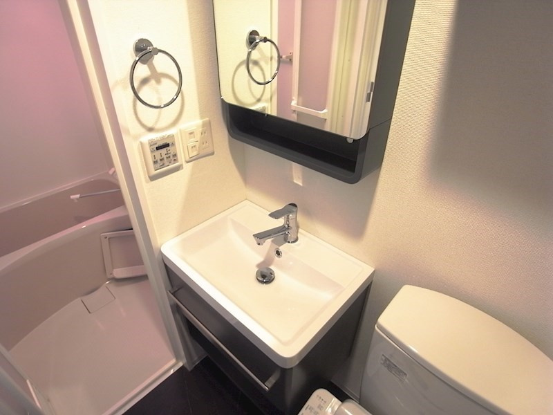 セレニテ三宮プリエの洗面所