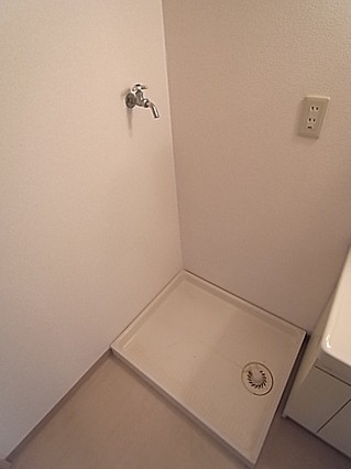 フェニックス本山の洗面所