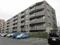 藤和シティコープ相模が丘Ⅲの画像