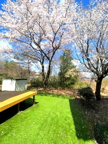 高島市今津町梅原中古戸建の庭