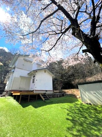 高島市今津町梅原中古戸建の庭